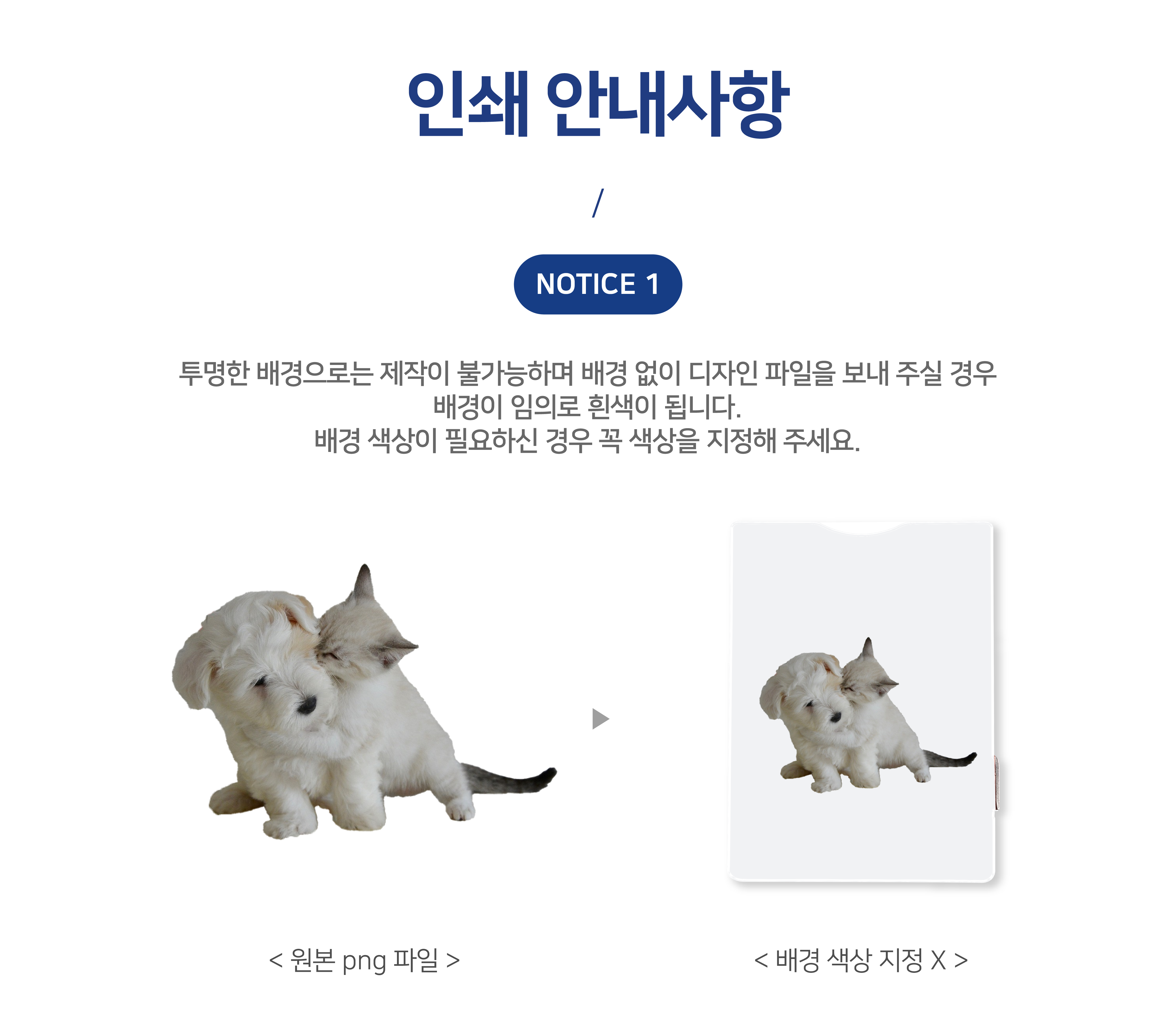 8ff7aa05e66321666e93baa954a57adc_1780023754_218.png
